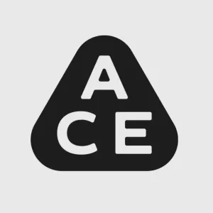 Ace Studios Brinkstraat logo